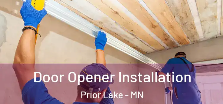 Door Opener Installation Prior Lake - MN