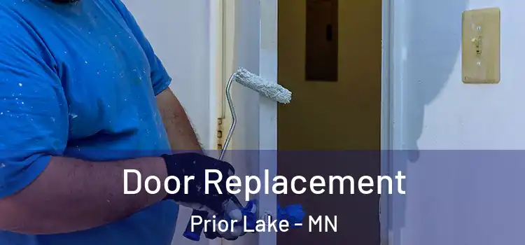 Door Replacement Prior Lake - MN