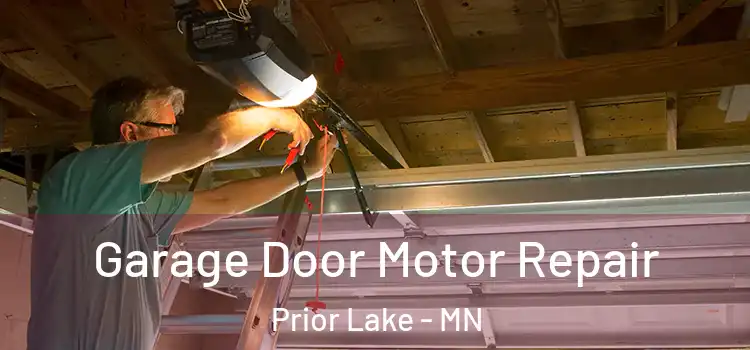  Garage Door Motor Repair Prior Lake - MN