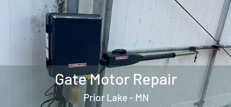 Gate Motor Repair Prior Lake - MN