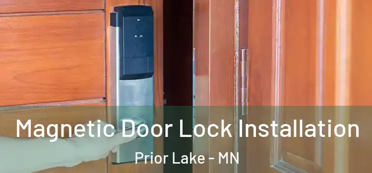  Magnetic Door Lock Installation Prior Lake - MN
