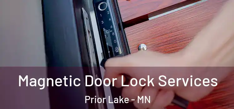 Magnetic Door Lock Services Prior Lake - MN