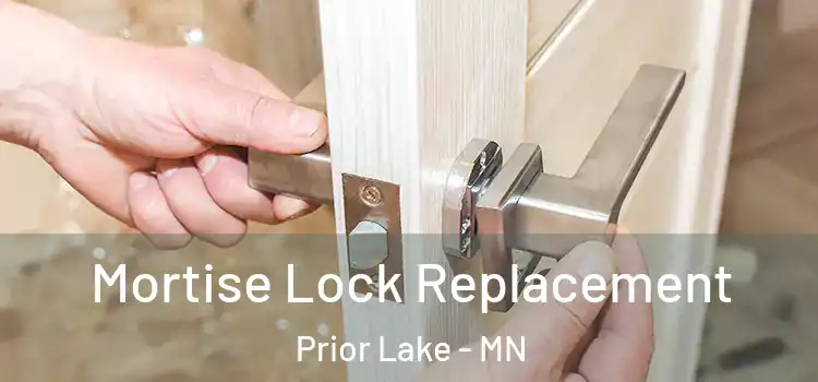 Mortise Lock Replacement Prior Lake - MN