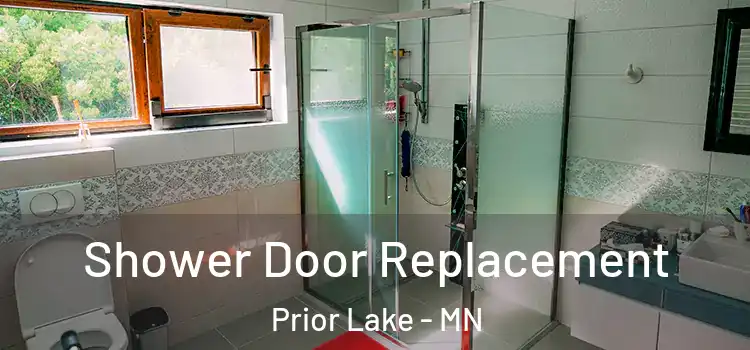 Shower Door Replacement Prior Lake - MN