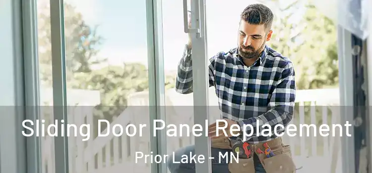  Sliding Door Panel Replacement Prior Lake - MN