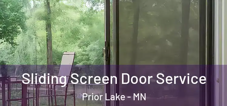 Sliding Screen Door Service Prior Lake - MN